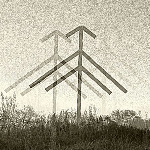 Web