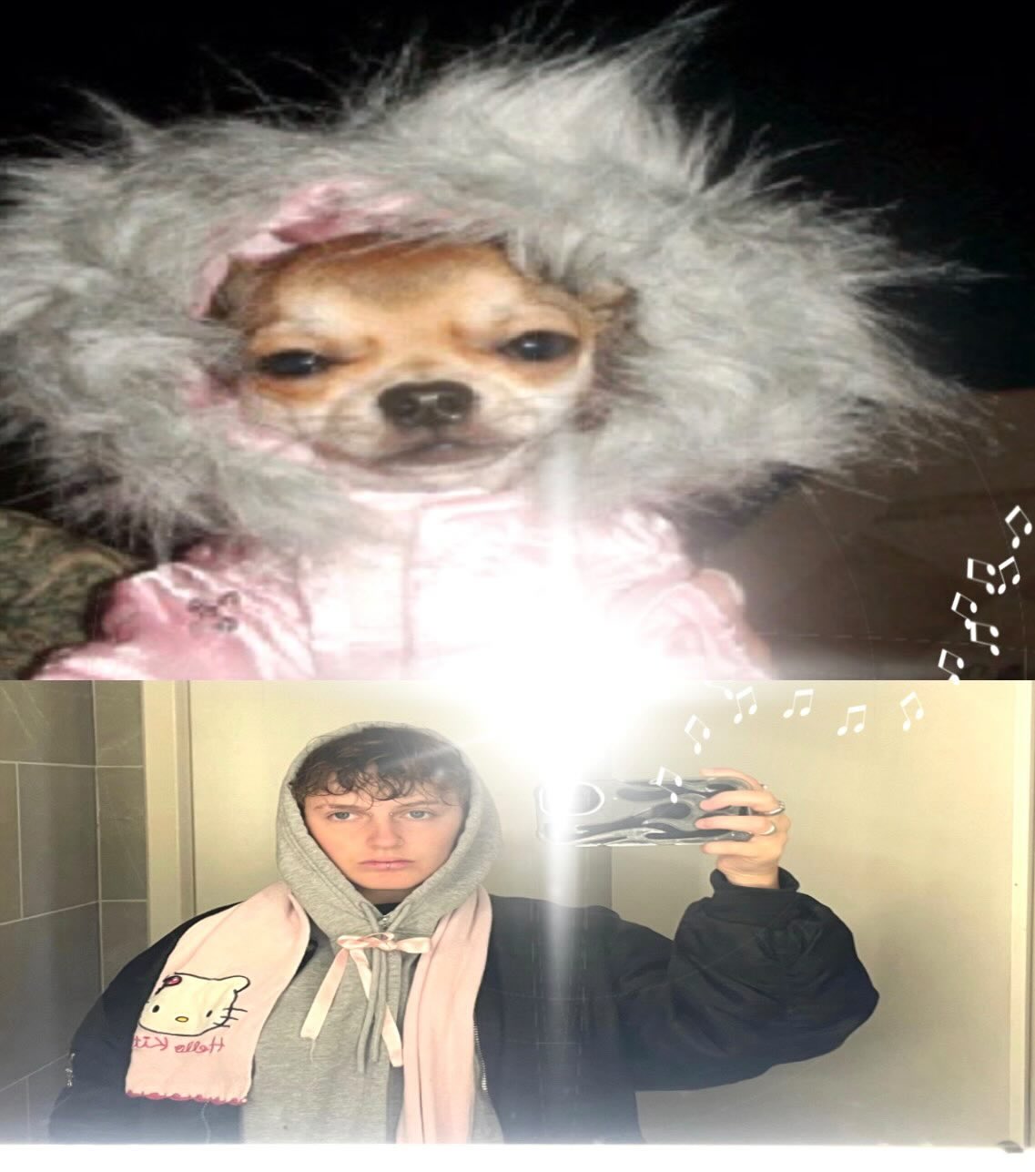 Leef