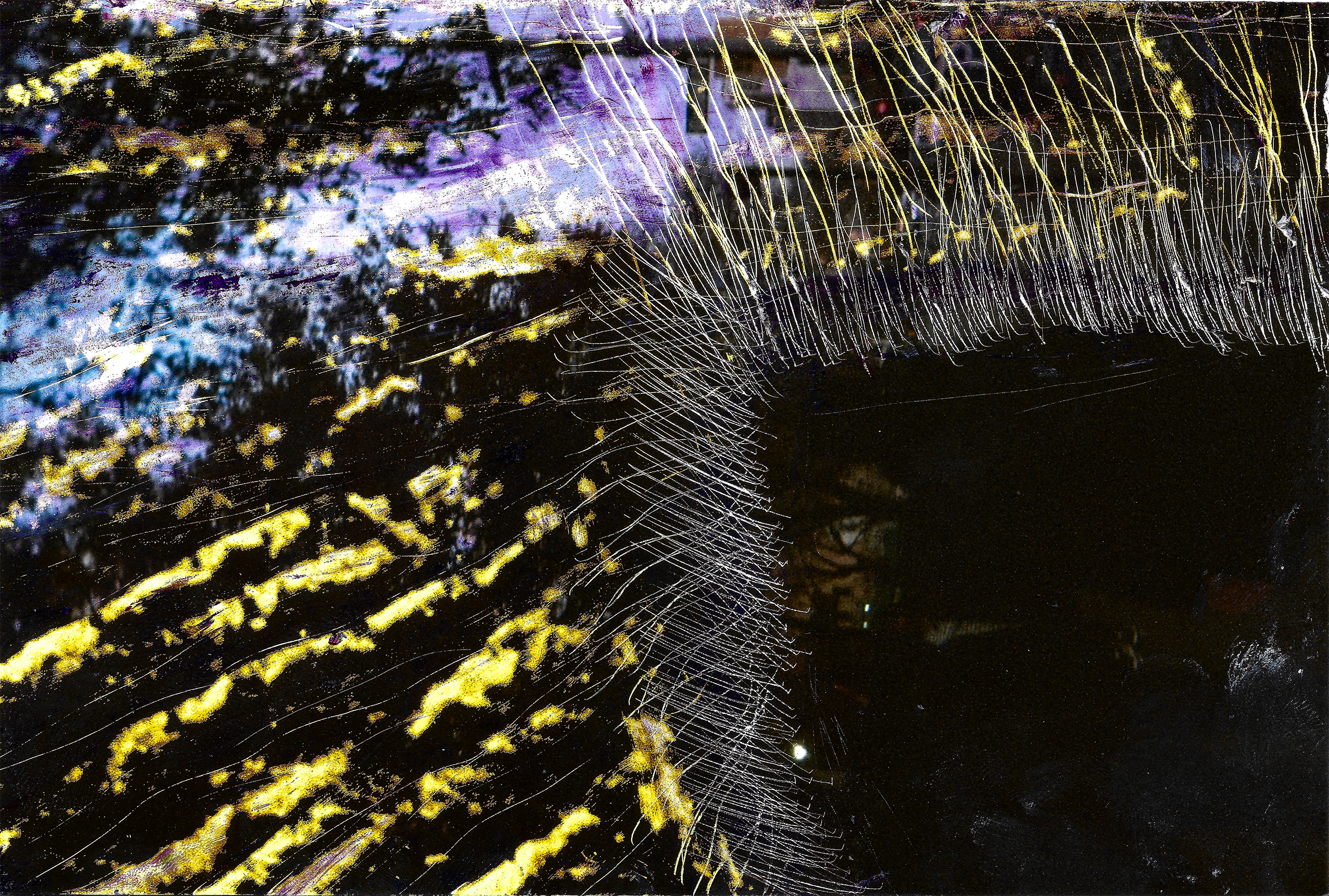 Web