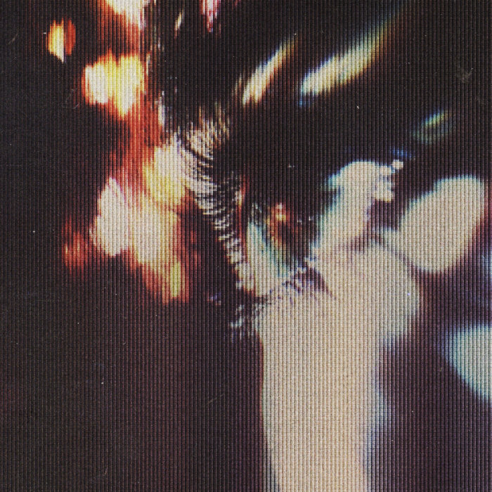 Web