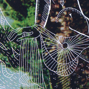 Web